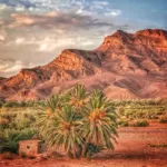 الرشيدية