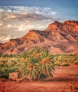 الرشيدية