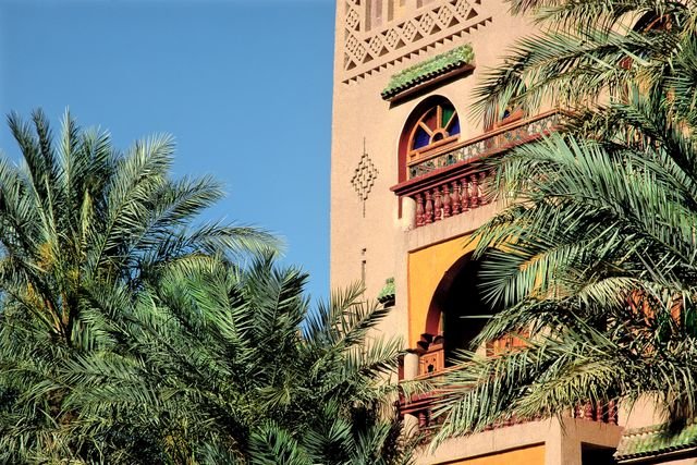 اكتشف المدينة: زاكورة